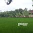  Land for rent in Denpasar Selata, Bali, Denpasar Selata, Denpasar