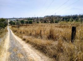  Grundstück zu verkaufen in Allende, Nuevo Leon, Allende, Nuevo Leon