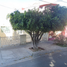 3 Schlafzimmer Haus zu verkaufen in Ixtlahuacan Del Rio, Jalisco, Ixtlahuacan Del Rio