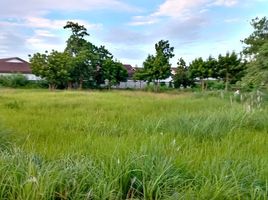  Land for sale in Crimson Beach side, Lapu-Lapu City, Lapu-Lapu City