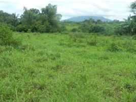 Terrain à vendre à Calamba City, Calabarzon, Calamba City