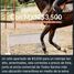  Land for sale in Yaxcaba, Yucatan, Yaxcaba