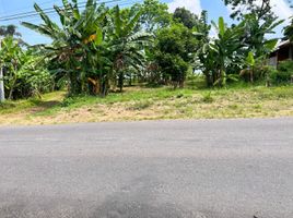  Land for sale in Mojogedang, Karanganyar, Mojogedang