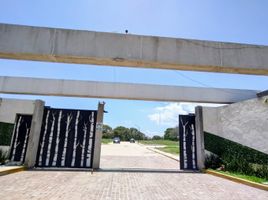  Terreno (Parcela) en venta en San Pedro Cholula, Puebla, San Pedro Cholula, Puebla