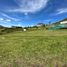 Terrain à vendre à La Ceja, Antioquia, La Ceja, Antioquia