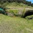 Terrain à vendre à La Ceja, Antioquia, La Ceja, Antioquia