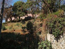  Grundstück zu verkaufen in Huitzilac, Morelos, Huitzilac