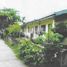 Land for sale in Palawan Mimaropa, Coron