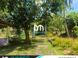  Terreno (Parcela) en venta en San Juan, Calabarzon, San Juan, Batangas, Calabarzon