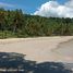  Land for sale in Puerto Princesa City, Mimaropa, Puerto Princesa City, Palawan, Mimaropa