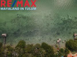  Grundstück zu verkaufen in Othon P Blanco, Quintana Roo, Othon P Blanco