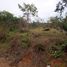  Land for sale in Melgar, Tolima, Melgar