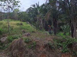  Terreno (Parcela) en venta en Tolima, Melgar, Tolima