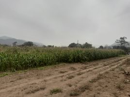 Terrain à vendre à Pachacamac, Lima, Pachacamac, Lima, Lima, Pérou
