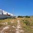  Land for sale in Progreso, Yucatan, Progreso, Yucatan, Mexico