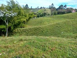  Land for sale in Marinilla, Antioquia, Marinilla