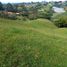  Land for sale in Marinilla, Antioquia, Marinilla
