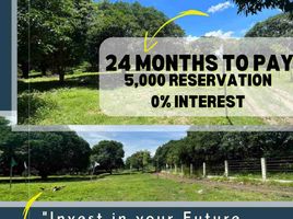  Land for sale in San Juan, Batangas, San Juan