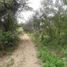  Land for sale in Morropon, Piura, Morropon, Morropon