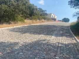  Grundstück zu verkaufen in Puebla, Puebla, Puebla, Puebla