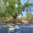  Terreno (Parcela) en venta en Maipo, Santiago, San Bernardo, Maipo