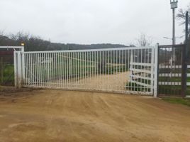  Land for sale in Melipilla, Santiago, Curacavi, Melipilla