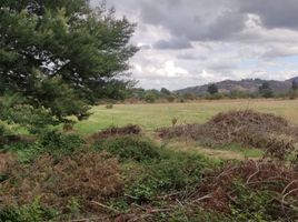  Land for sale in Nuble, Chillan, Diguillin, Nuble
