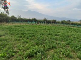  Terreno (Parcela) en venta en Cotacachi, Imbabura, Quiroga, Cotacachi