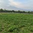  Land for sale in Quiroga, Imbabura, Quiroga