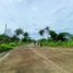  Grundstück zu verkaufen in Lapu-Lapu City, Central Visayas, Lapu-Lapu City, Cebu