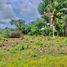  Land for sale in Dauis, Bohol, Dauis