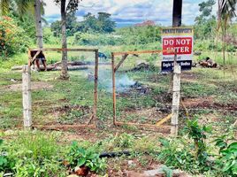  Terrain for sale in Bohol, Central Visayas, Dauis, Bohol