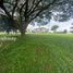  Land for sale in Calamba City, Calabarzon, Calamba City