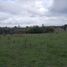  Terreno (Parcela) en venta en Araucanía, Temuco, Cautín, Araucanía