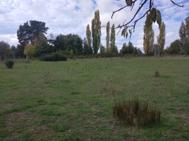 Terreno (Parcela) en venta en Araucanía, Temuco, Cautín, Araucanía
