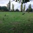  Terreno (Parcela) en venta en Araucanía, Temuco, Cautín, Araucanía