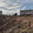  Land for sale in Santa Isabel Cholula, Puebla, Santa Isabel Cholula