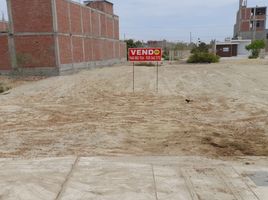  Terrain for sale in Piura, Castilla, Piura, Piura