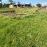  Land for sale in Iglesia San Vicente de Ferrer, Saboya, Saboya