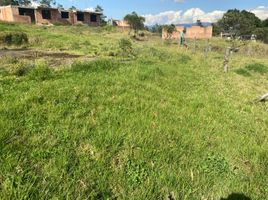  Land for sale in Iglesia San Vicente de Ferrer, Saboya, Saboya