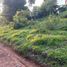  Land for sale in Talibon, Central Visayas, Talibon