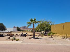  Land for sale in Hermosillo, Sonora, Hermosillo, Sonora