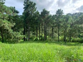  Land for sale in Cavite, Calabarzon, Tagaytay City, Cavite