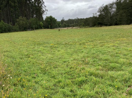  Land for sale in Los Lagos, Llanquihue, Llanquihue, Los Lagos