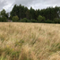  Land for sale in Los Lagos, Llanquihue, Llanquihue, Los Lagos
