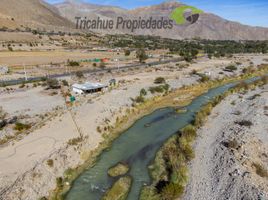  Land for sale in Chile, Vicuna, Elqui, Coquimbo, Chile