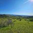  Land for sale in Hualane, Maule, Hualane, Curico