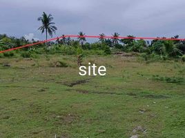  Land for sale in Badian, Cebu, Badian