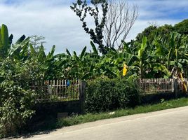  Land for sale in Argao, Cebu, Argao