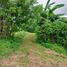  Land for sale in Tanauan City, Batangas, Tanauan City